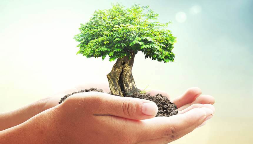 Valutazione di incidenza ambientale