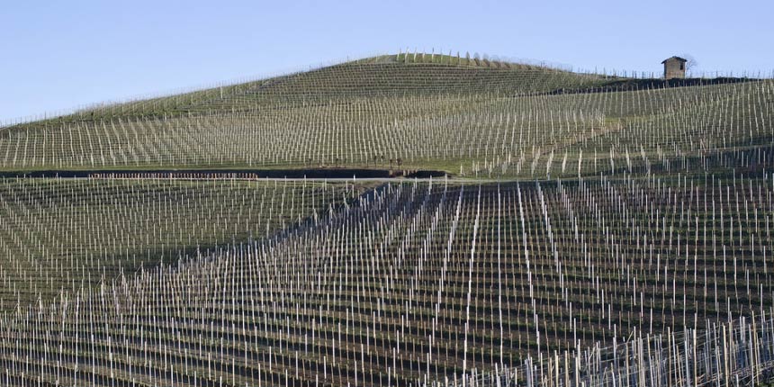 Decreto Legge Contenimento del Consumo del suolo e riuso del suolo edificato Decreto Legge Contenimento del Consumo del suolo e riuso del suolo edificato