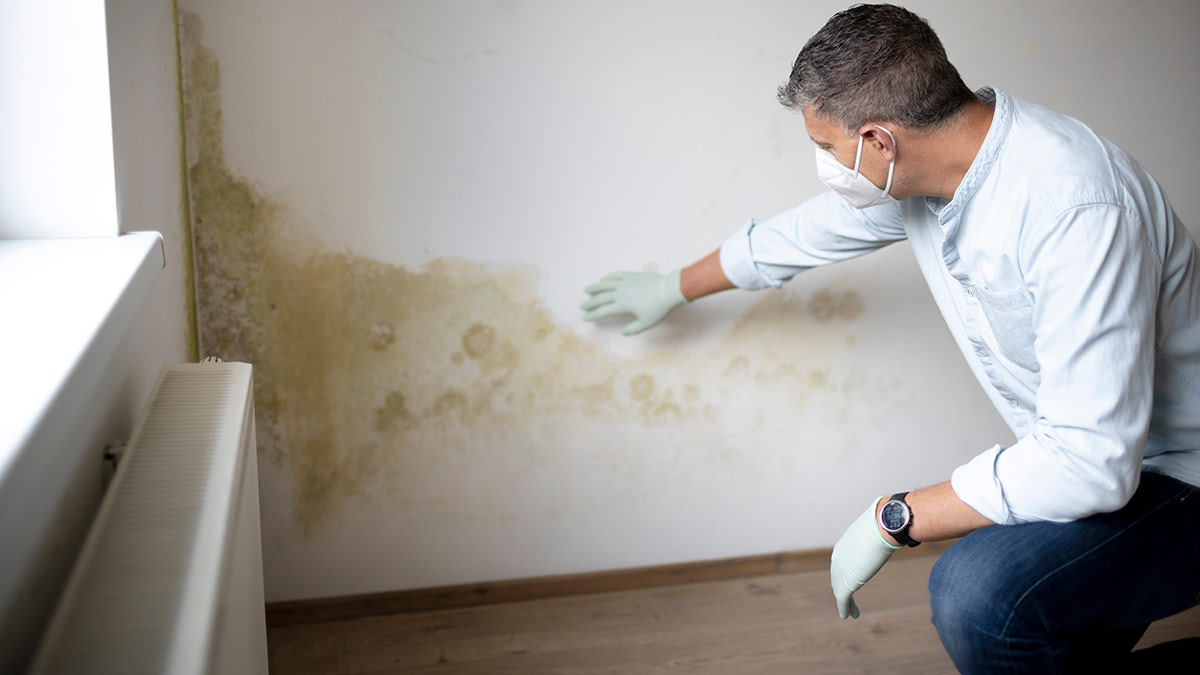 Ponti termici: cosa sono, come riconoscerli e come risolvere Ponti termici: cosa sono, come riconoscerli e come risolvere
