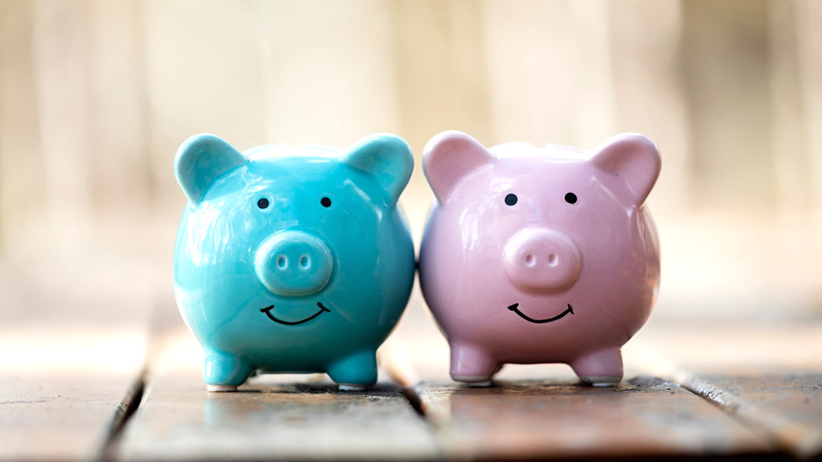 Crediti deteriorati NPLS: cosa sono e il parere dei professionisti