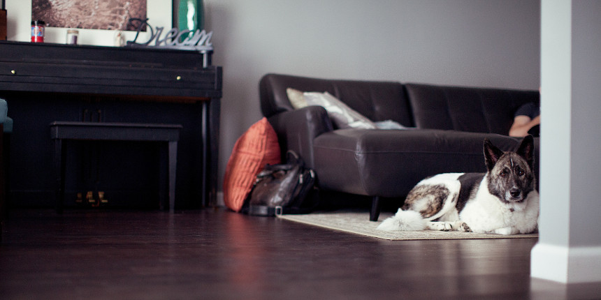 Organizzeresti un evento pubblico dentro le mura di casa tua?