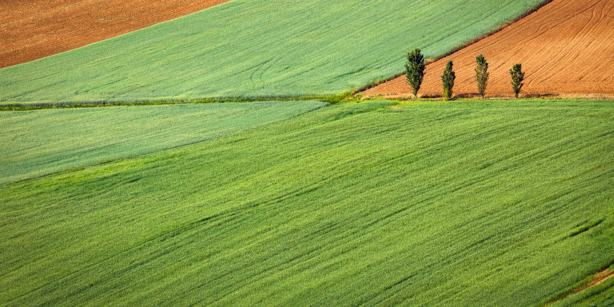 Modalità di rilascio e richiesta planimetria catastale