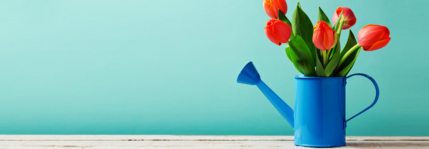 La promozione di primavera sul catalogo formativo di Unione Professionisti