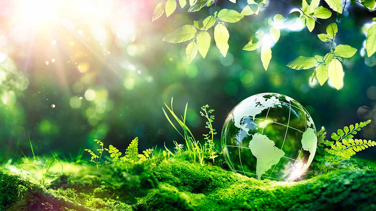 Cos'è la Valutazione Ambientale Strategica (VAS) e quando si fa