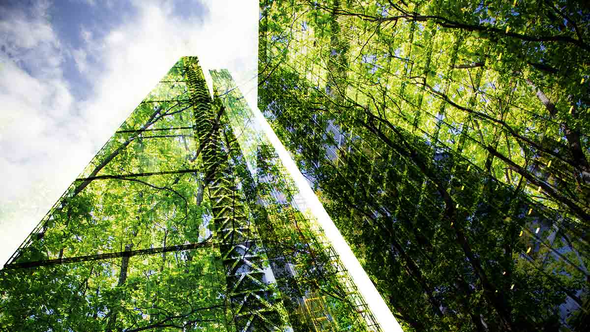 Cos'è la certificazione LEED e come si ottiene: una guida