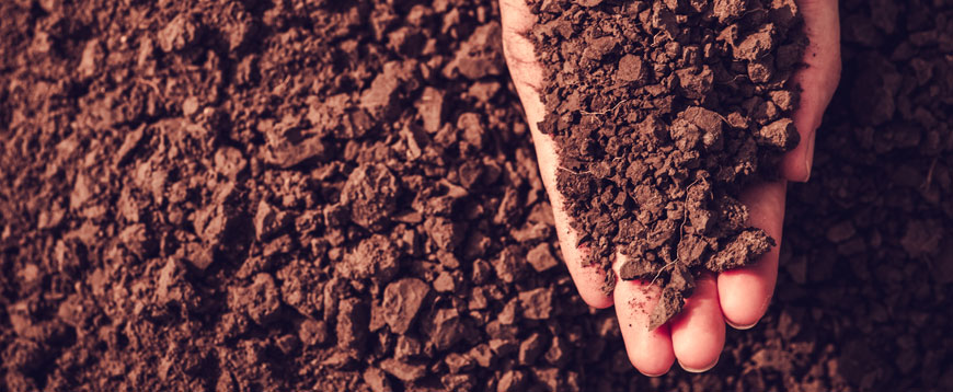 Corso Agricoltura E Gestione Della Risorsa Suolo