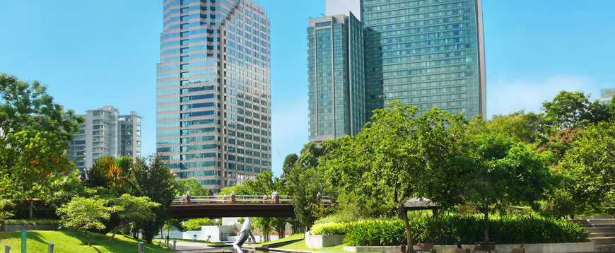 Corso Gestione del Verde Urbano