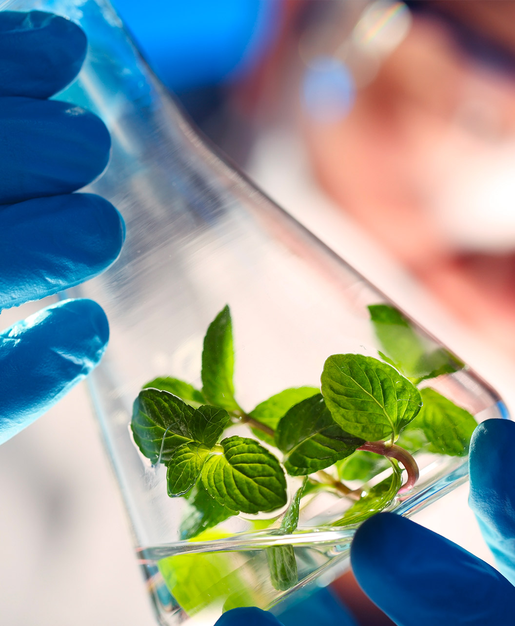 Corsi Accreditati per Agronomi e Forestali