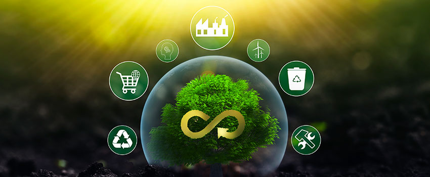 Corso di sostenibilità di impresa e LCA: teoria e pratica