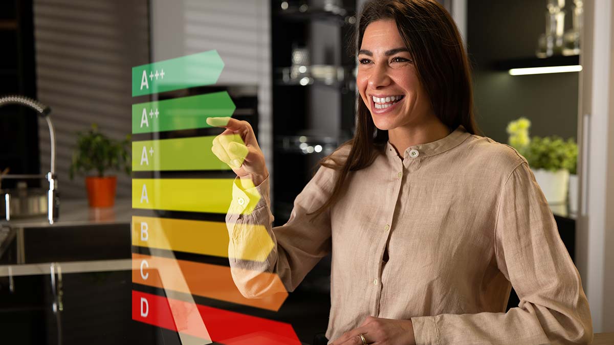 Cos’è il Rapporto di Controllo di Efficienza Energetica? Cos'è il Rapporto di Controllo di Efficienza Energetica?