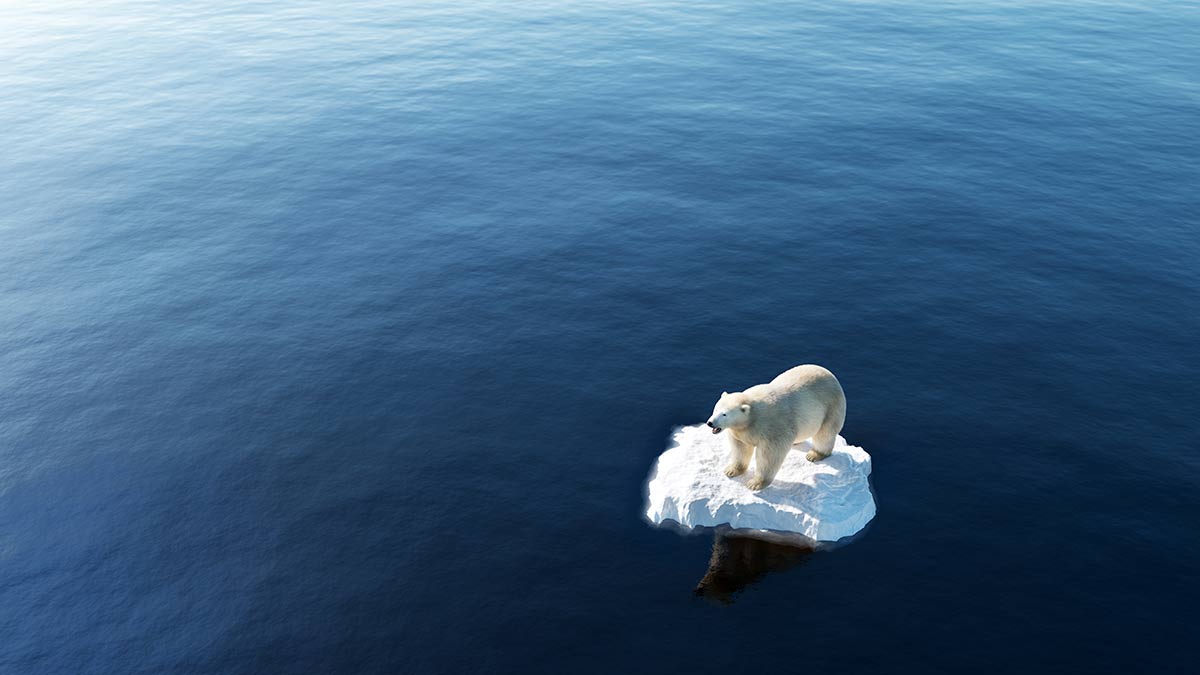 Cambiamento climatico e professionisti: le sfide del futuro Cambiamento climatico e professionisti: le sfide del futuro