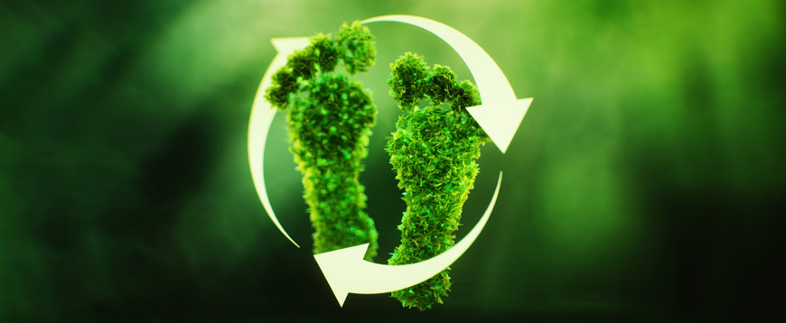 Corso Carbon Footprint