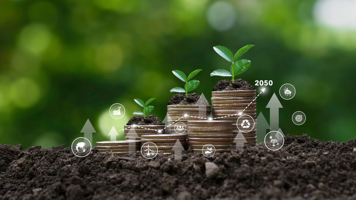 cos'è e cosa serve la transizione ecologica
