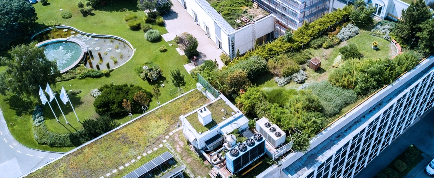 Corso Online Verde Pensile – Progettazione e normativa UNI 11235