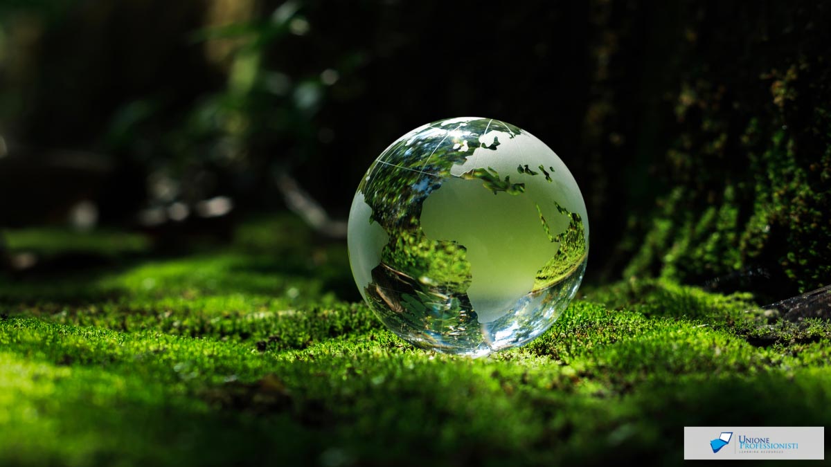 Cosa sono le Nature Based Solutions - NbS: esempi e progetti